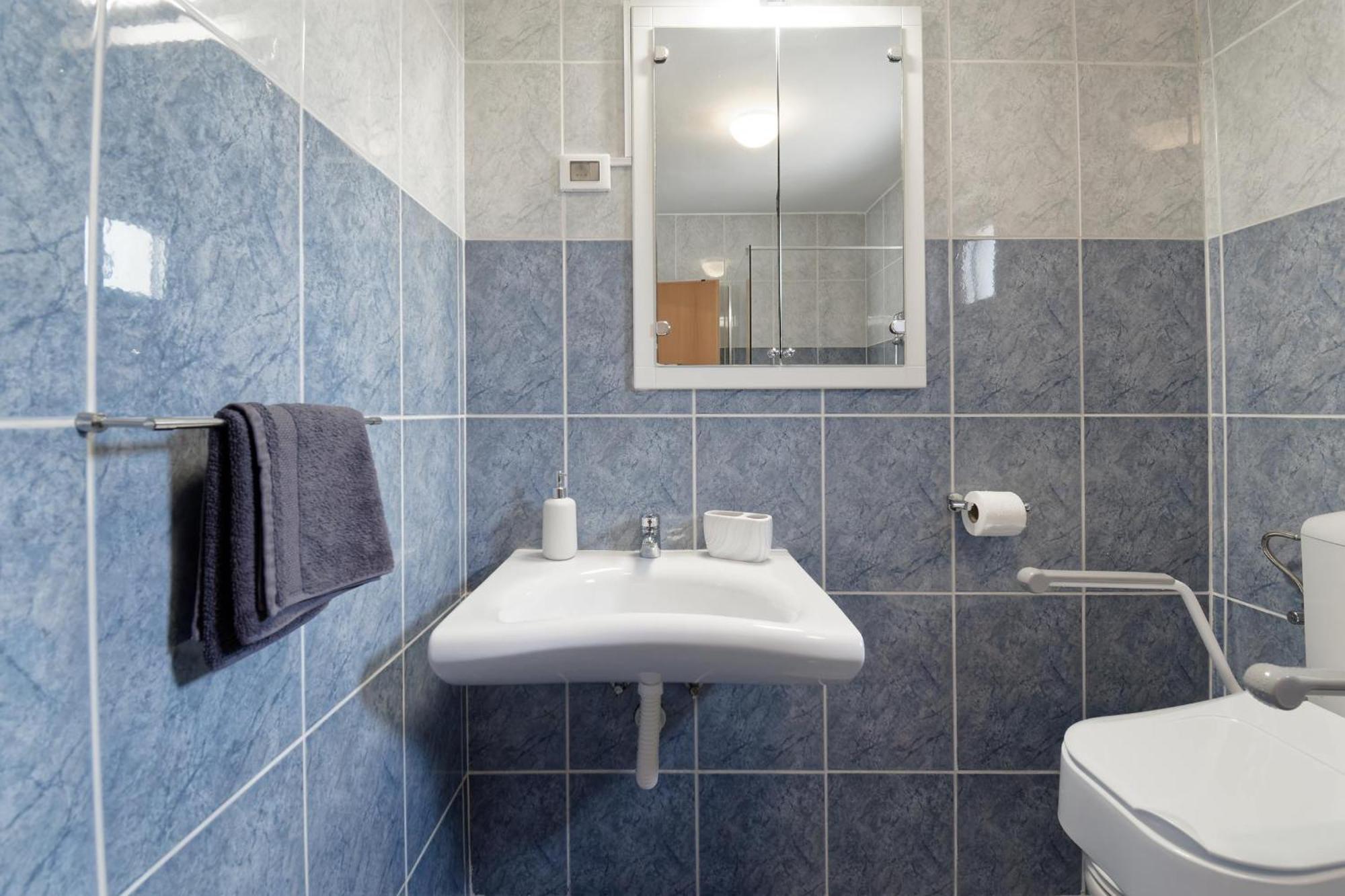 Apartment Larissa Višnjan Extérieur photo